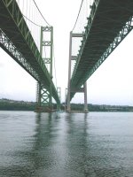 The Tacoma Narrows Bridge as seen from below, on the western end. The new one is the one on the right.